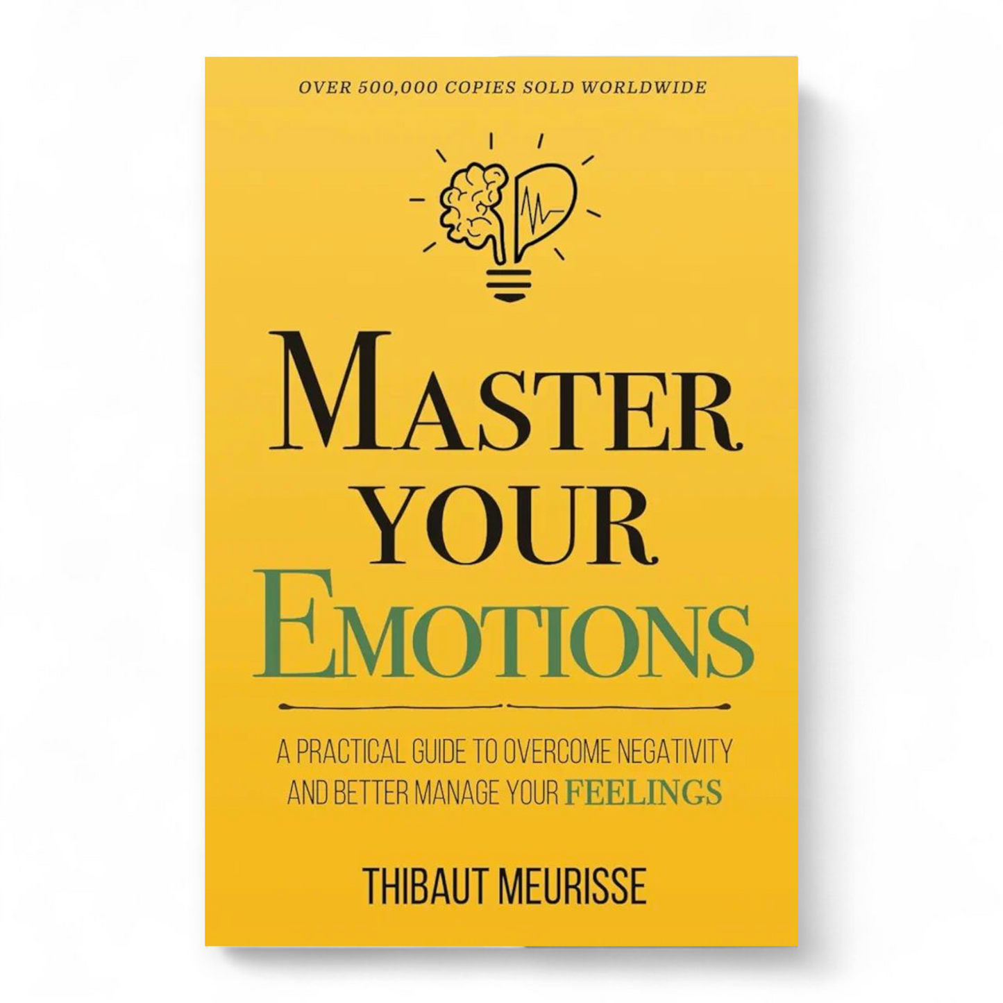 Master Your Emotions by Thibaut Meurisse - NOVEL HOVEL