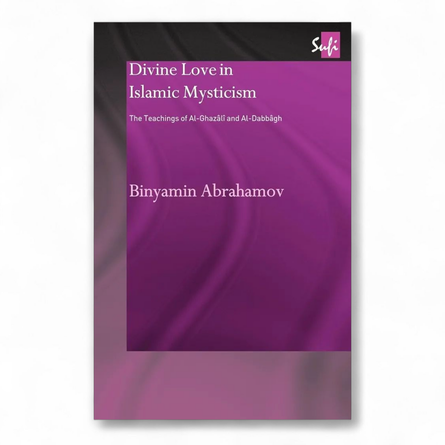 Divine Love in Islamic Mysticism by Binyamin Abrahamov