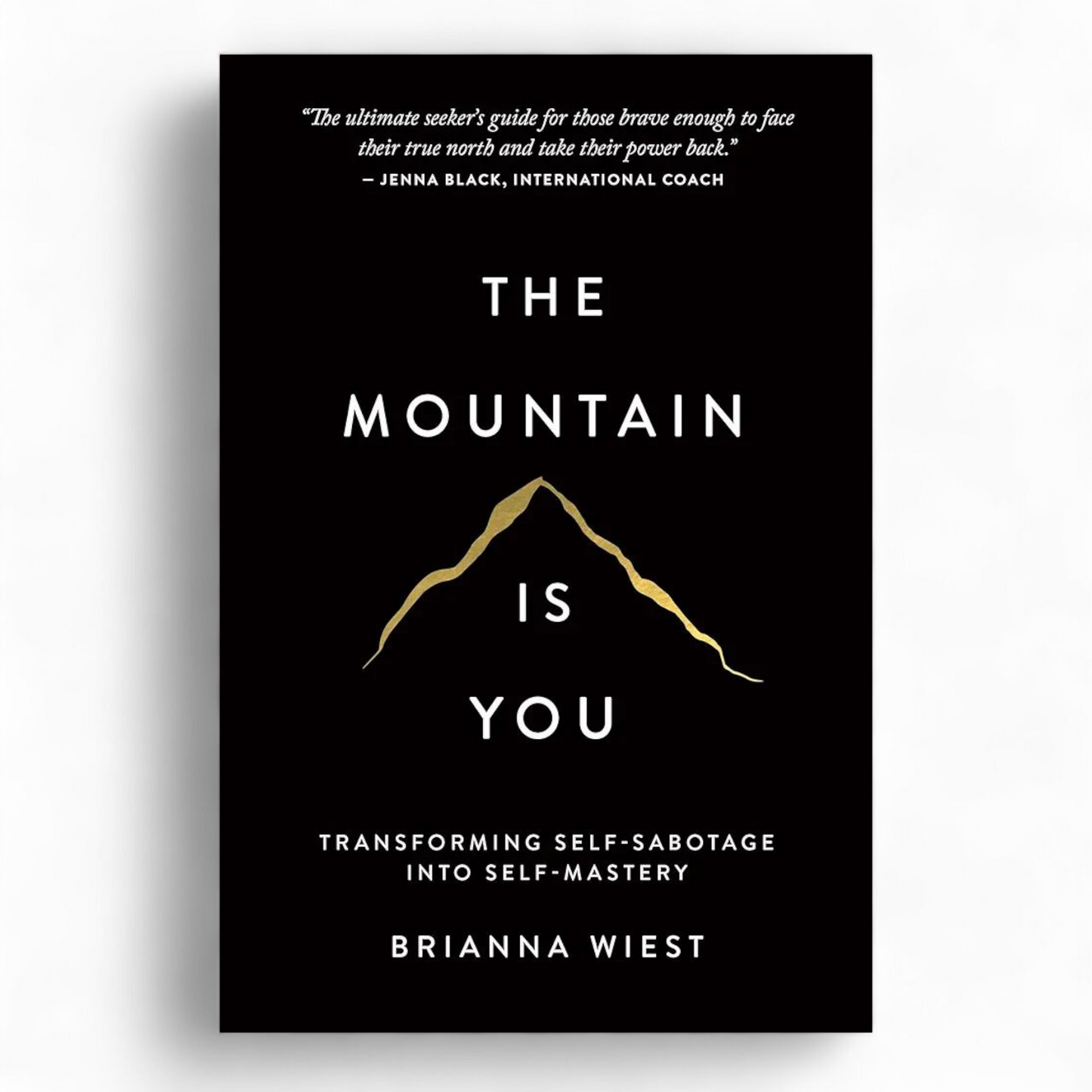 The Mountain Is You by Brianna Wiest - NOVEL HOVEL