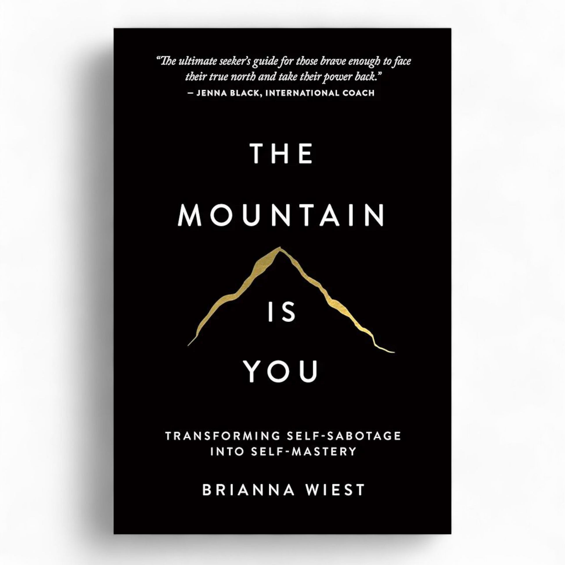 The Mountain Is You by Brianna Wiest - NOVEL HOVEL