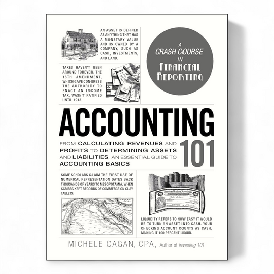 Accounting 101 by Michele Cagan - NOVEL HOVEL