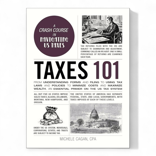 Taxes 101 by Michele Cagan - NOVEL HOVEL