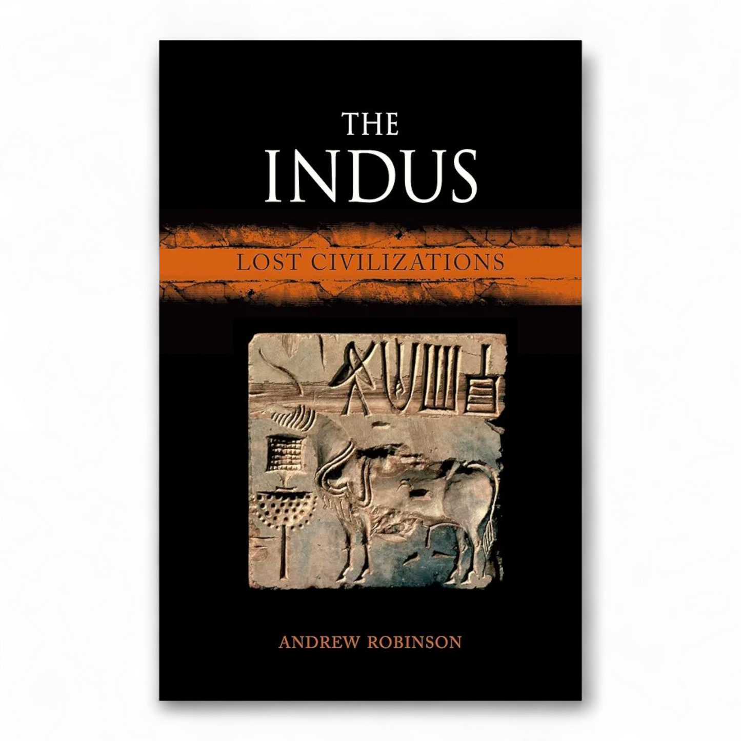 The Indus: Lost Civilizations by Andrew Robinson